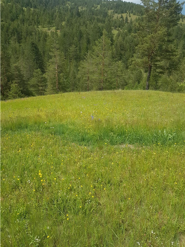 Plac Zlatibor