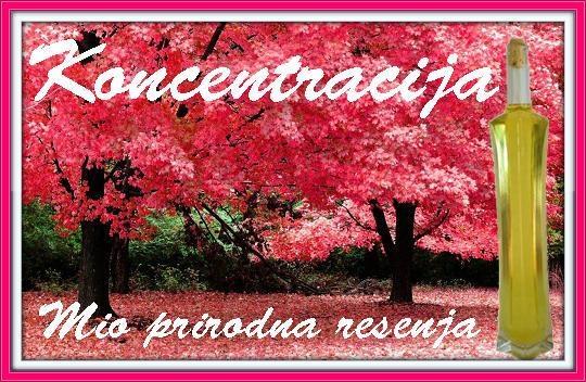Koncentracija