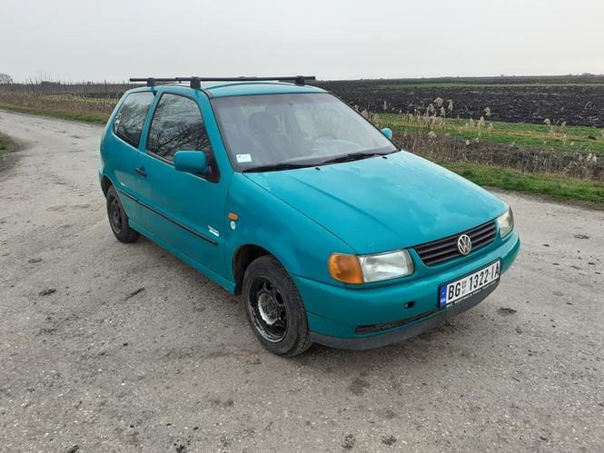 polo