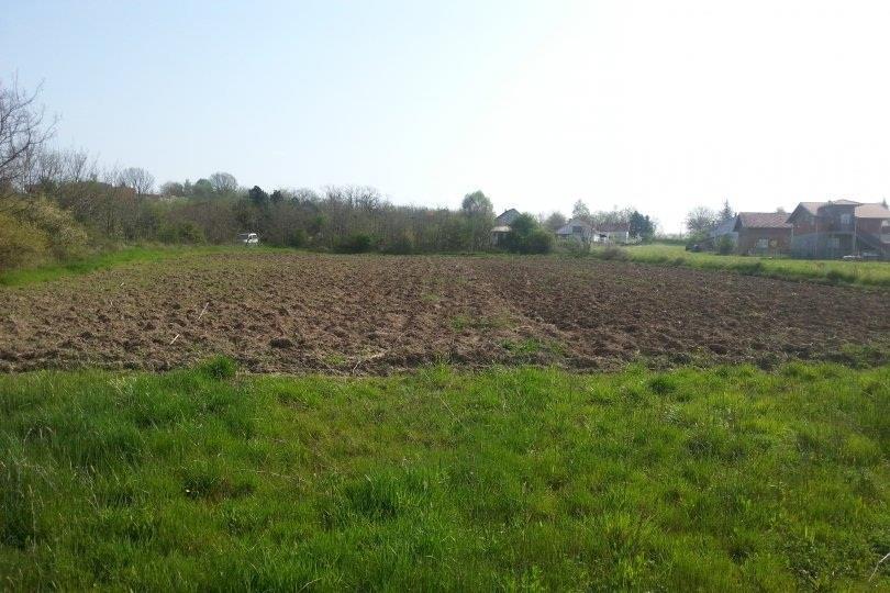 Plac-u-Popovicu-Ralja