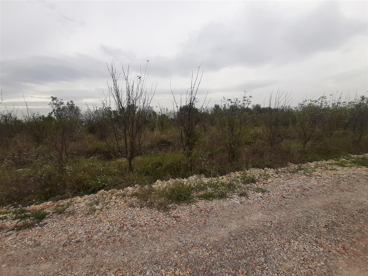 Plac-Rumenka-460m2