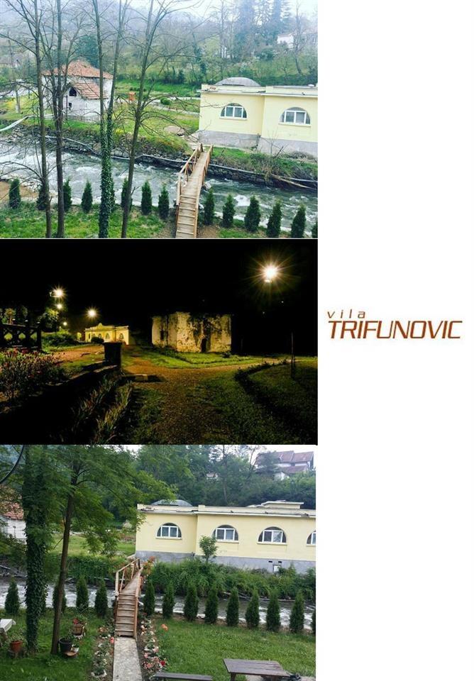 Vila-Trifunovic