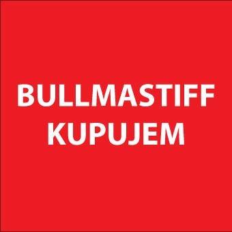 Bulmastif kupujem