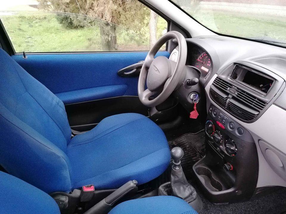 punto