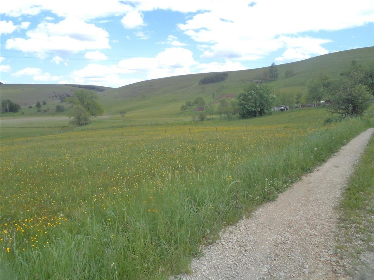 Zlatibor-plac-na-prodaju