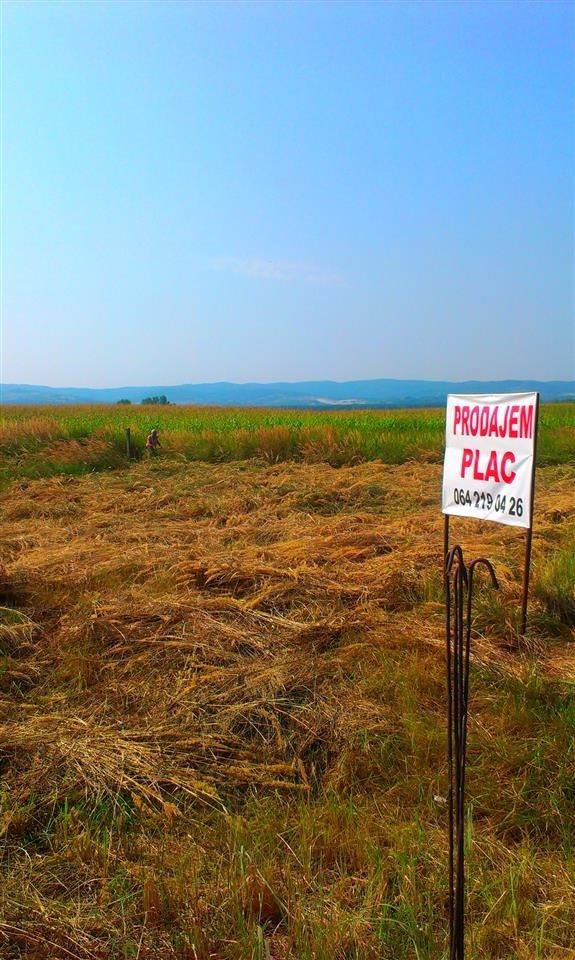 Plac-Koledarska-Veternik