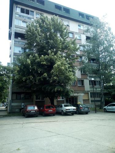 Dvosoban stan 55m2 Braničevska