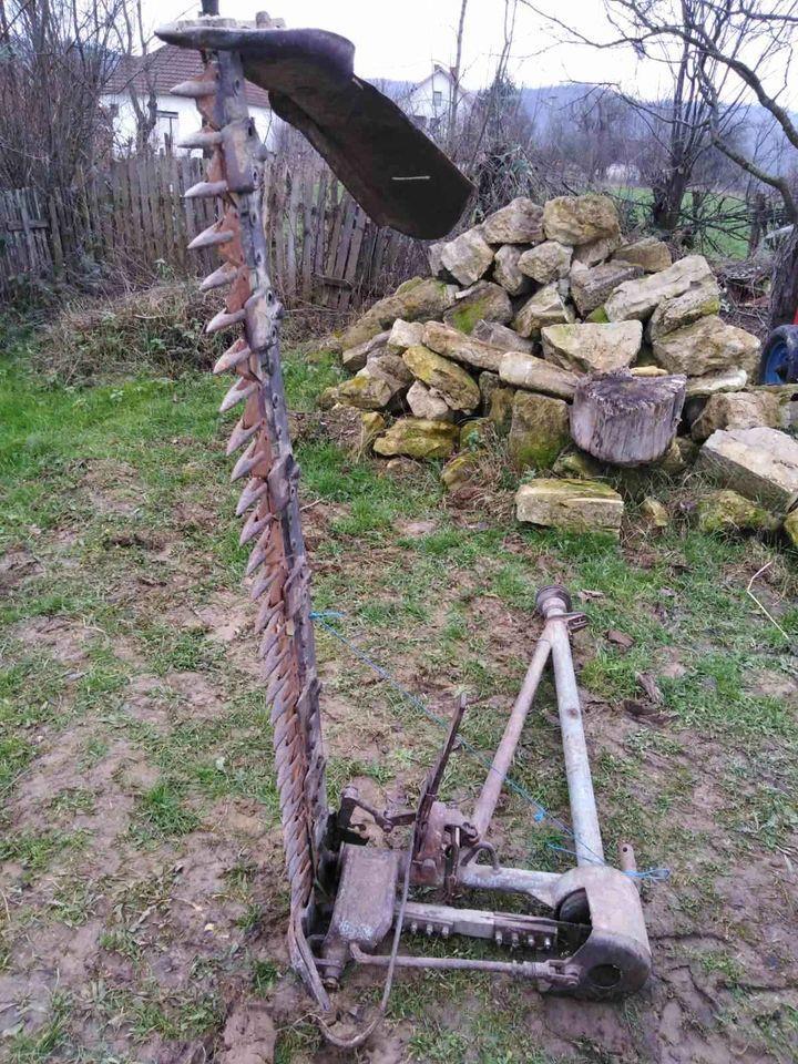 Bočna-dubrava--kosa