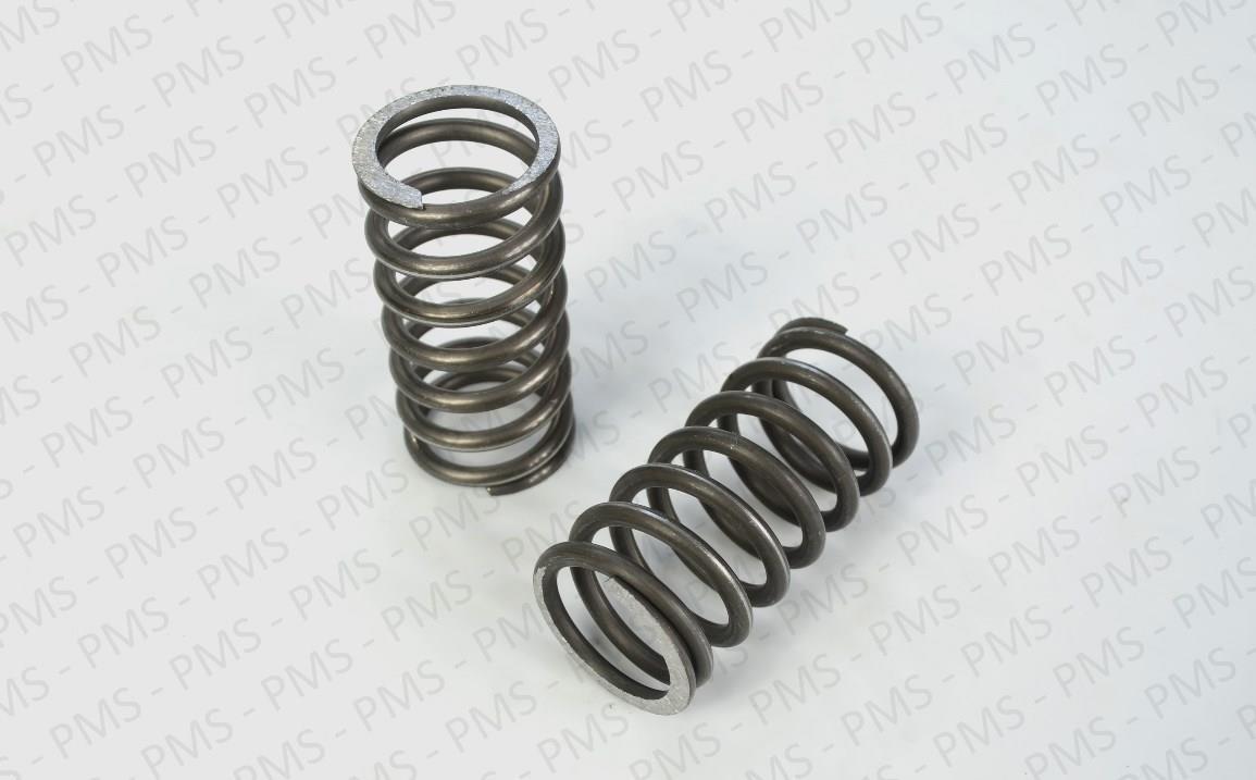Carraro-Spring-Types--Oem-Parts