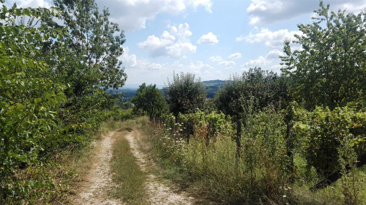 IMANJE-NA-PRODAJU