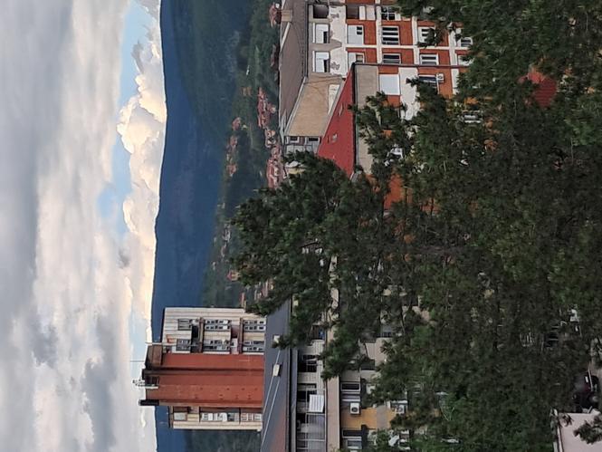 pomoć u kući Pirot