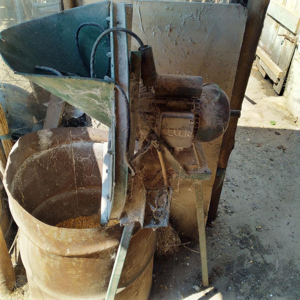 krupara