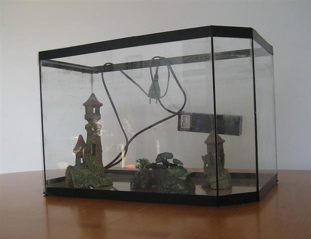 AKVARIJUM
