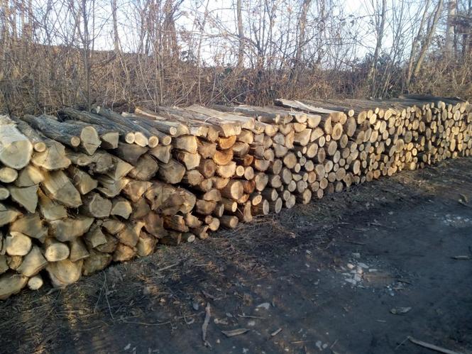 Ogrevno drvo