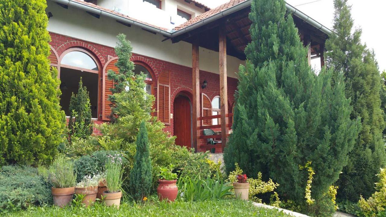 Vila-Avala---Iznajmljivanje-na-dan