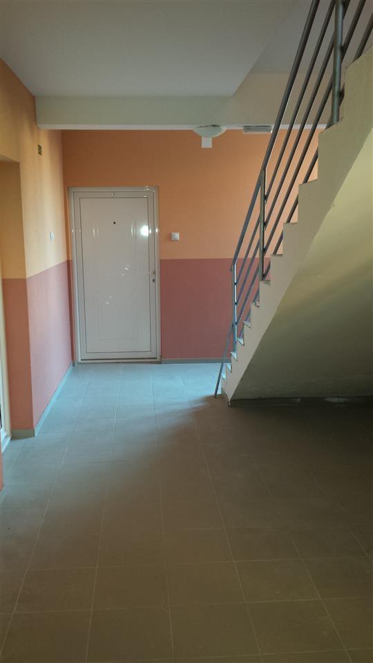 Stan-50m2-u-Zajecar