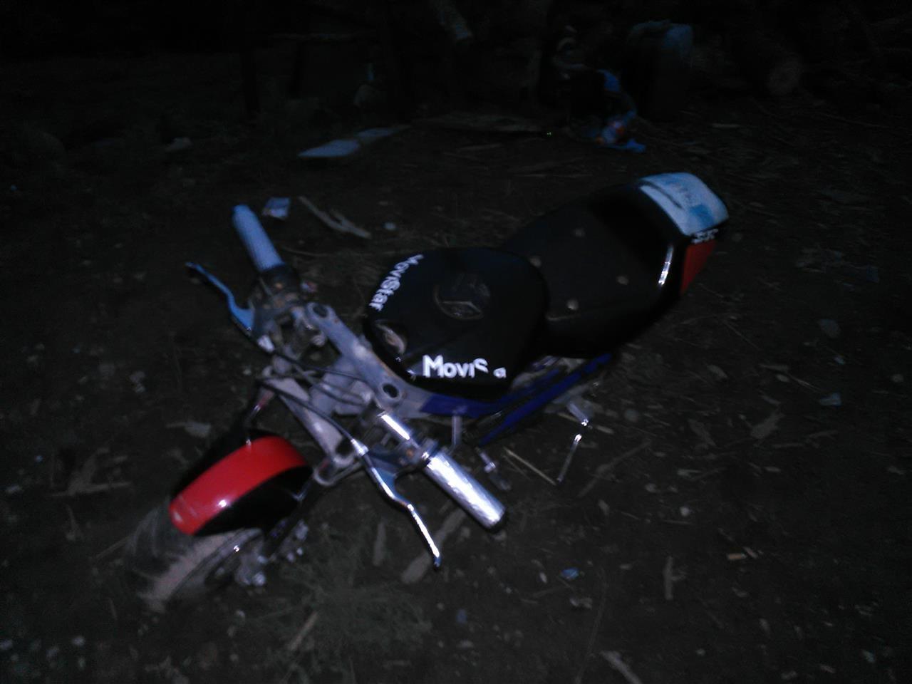 Pocket-bike