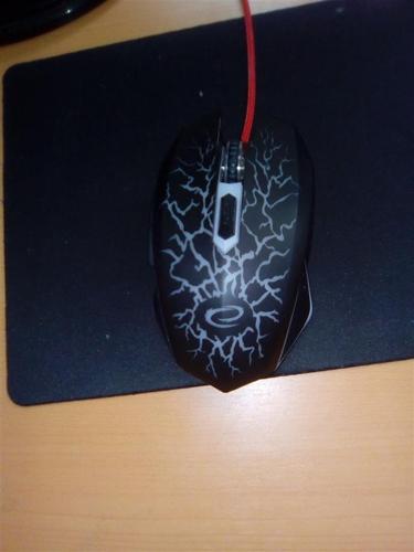 Gamerski mis