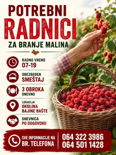 Malina