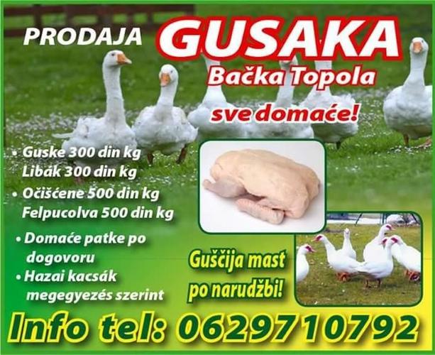 Guske