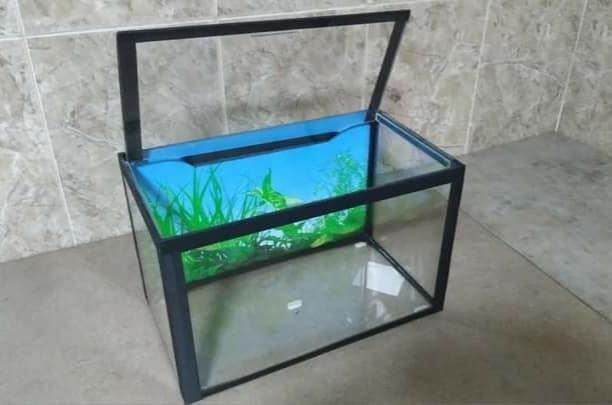 Akvarijumi