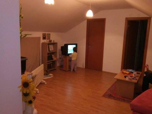 Ledine-Surcin-4-soban