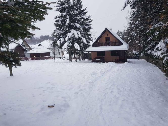 Vikendica Tara