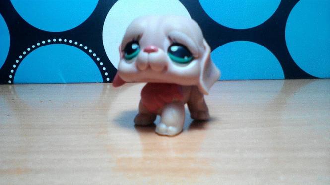 Littlest pet shop pas