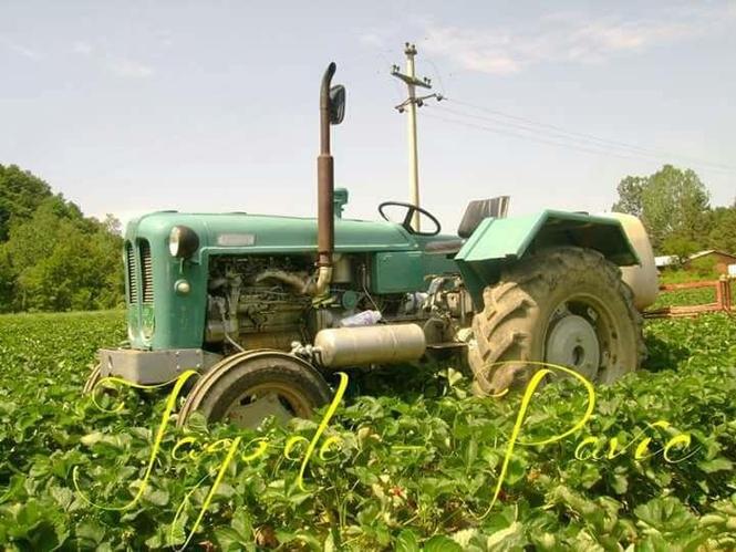 Prodajem traktor Rakovicu 60