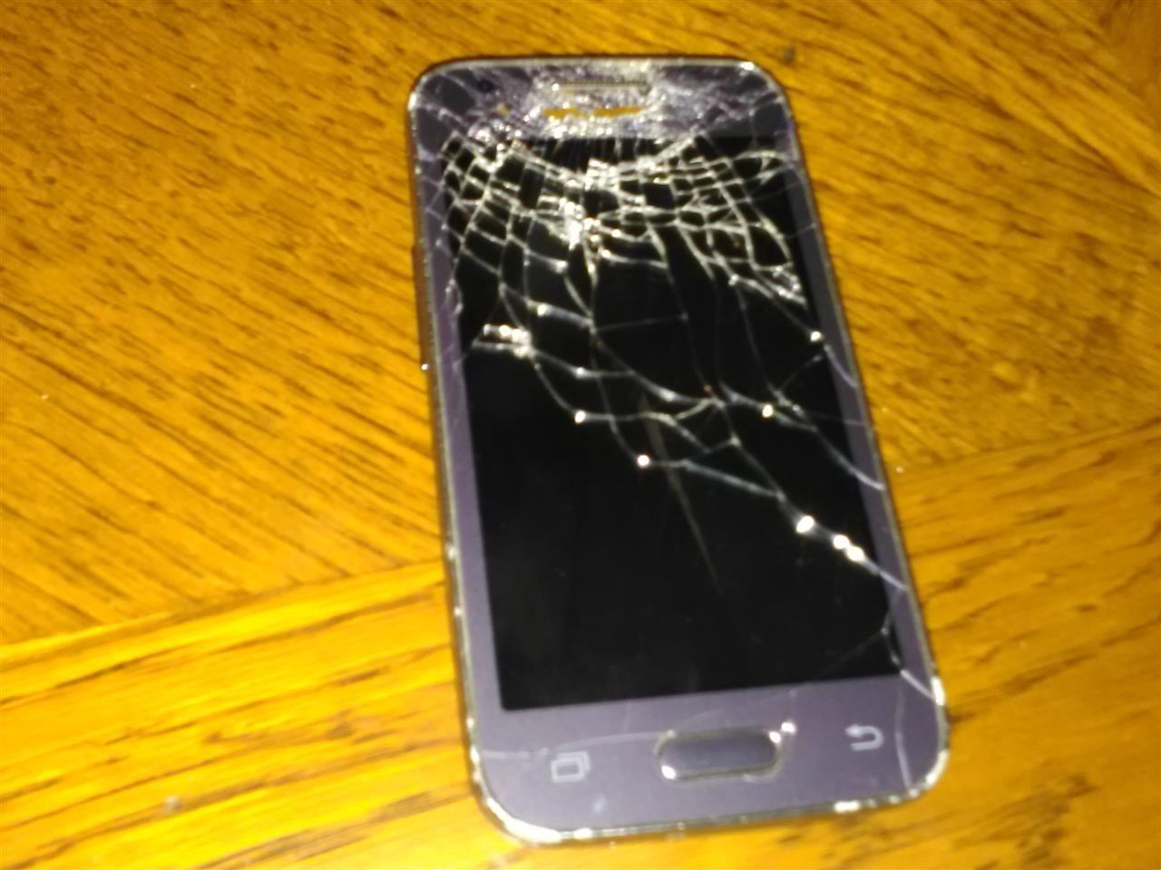 Samsung-Galaxy-trend-2