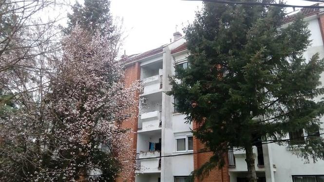 STAN 66m2 VINCA BEOGRAD