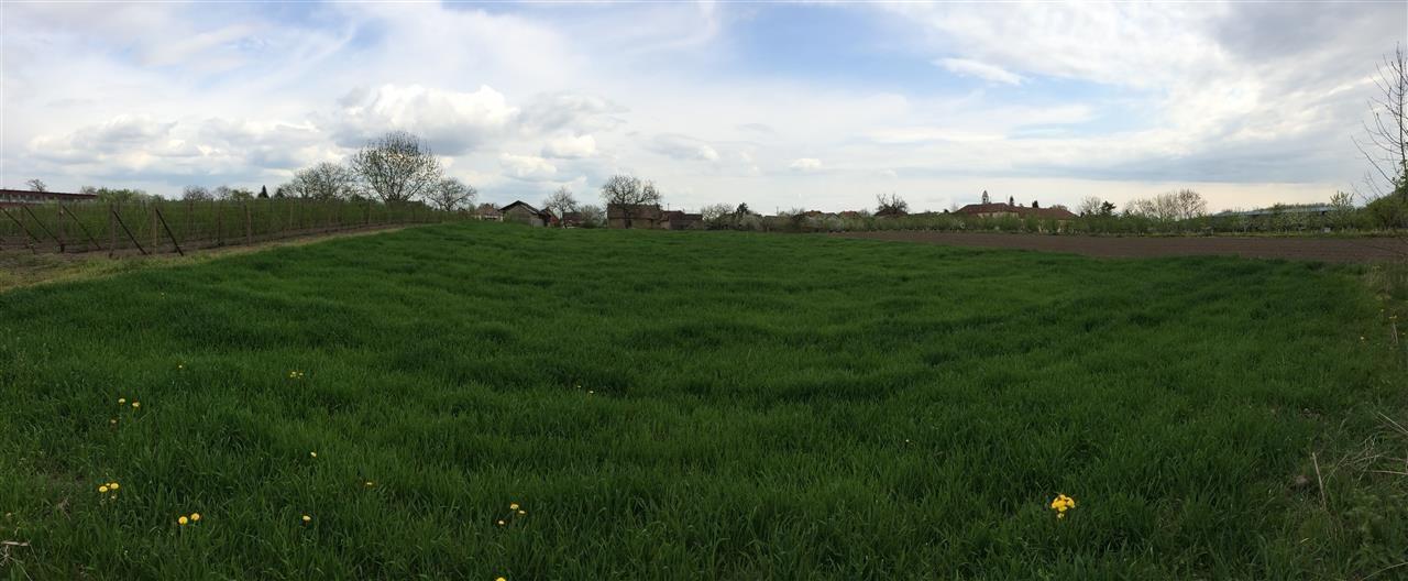 Plac-u-Klenku