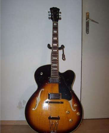 Aroa Hollow Body gitara