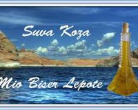 Suva koža lica