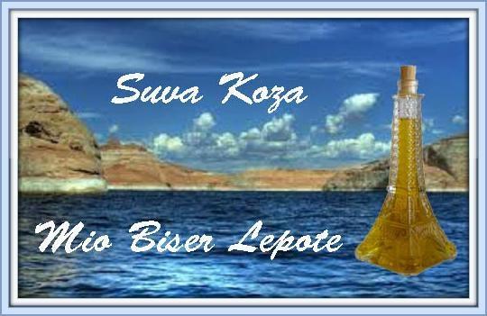 Suva koža lica