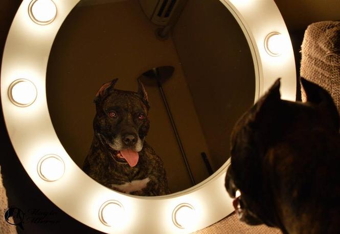 Ogledala za sminkanje Magic Mirror