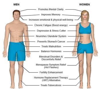 USPOSTAVITE RAVNOTEZU NAD HORMONIMA