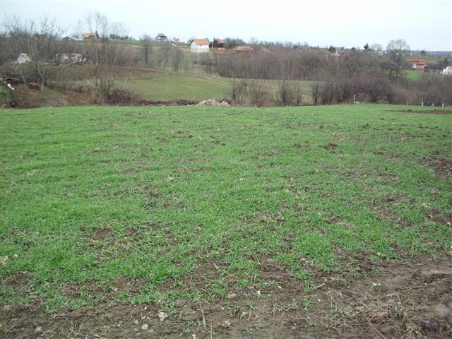 Plac 3000m2 u Sopotu