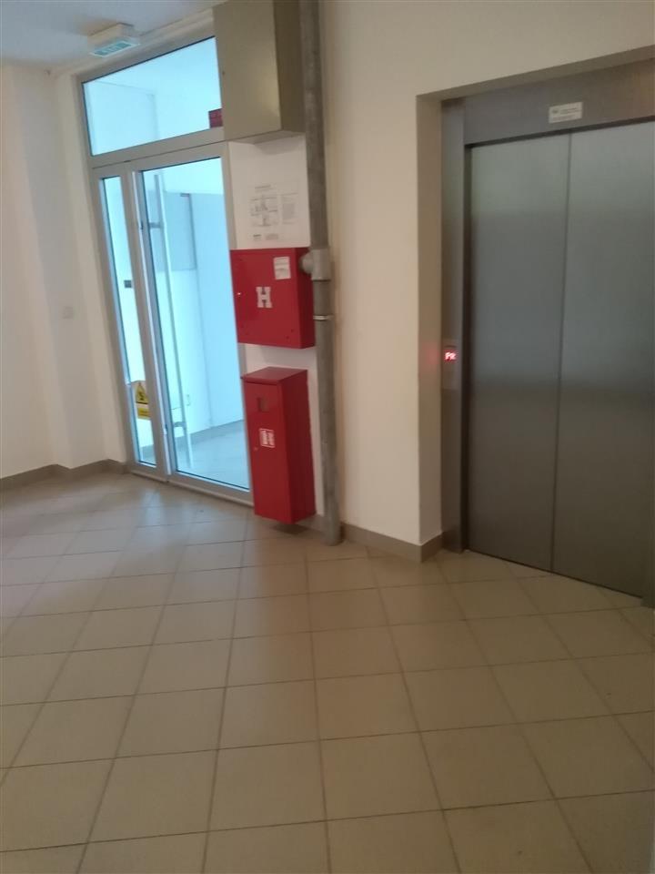 Stepa-Stepanovic