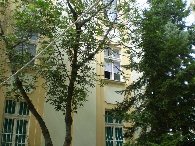 Salonski-stan-96m2--RETKA-PONUDA--
