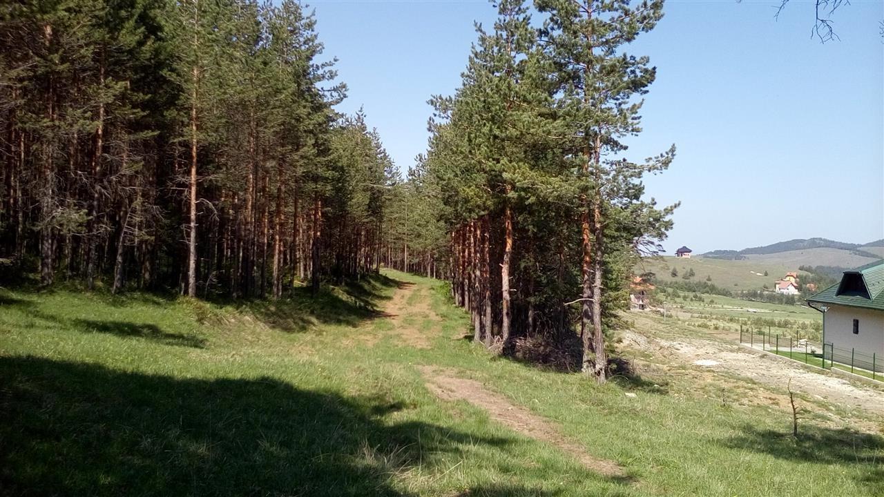 Plac-6-25-ari-Zlatibor-Tornik