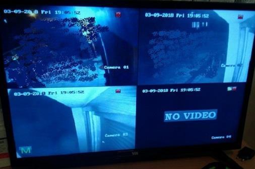 dvr-bear-b404