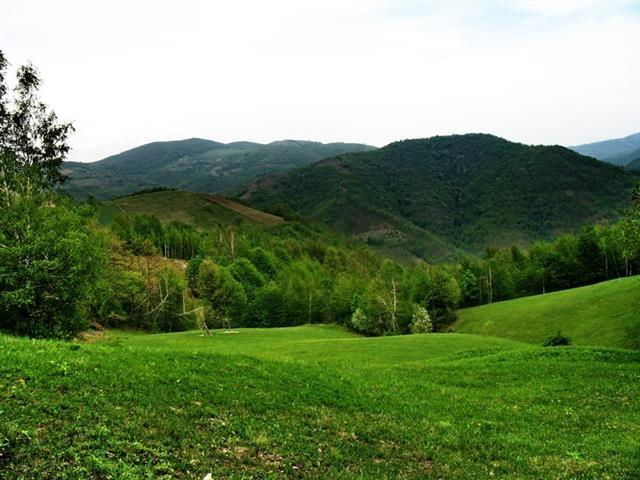 Plac-50000m2-u-Kosjeric--sa-izvorima-vode