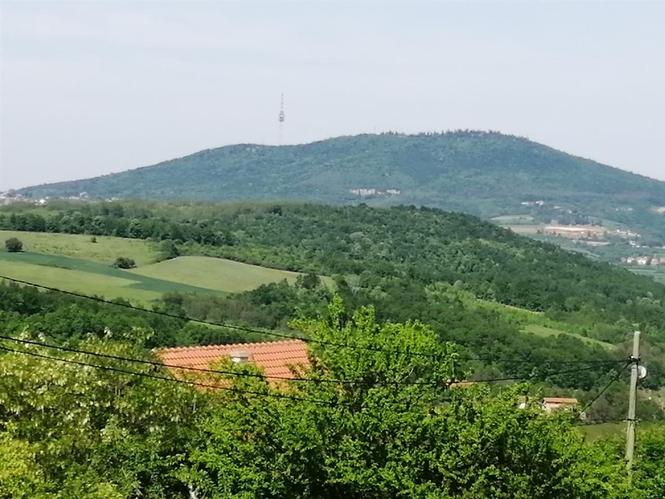 Lipovica, Ripanj