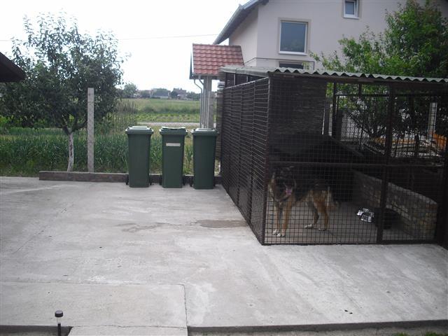 Kucu-Veternik