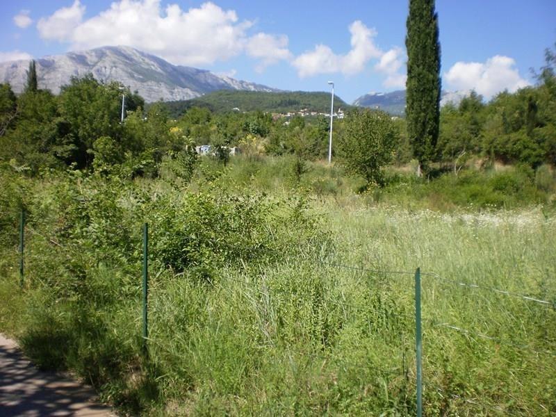 PLAC-U-IGALU