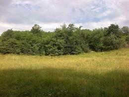 Plac-od-6000m2-Kosmaj