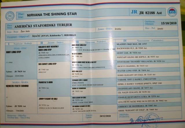 Ast-stenci-