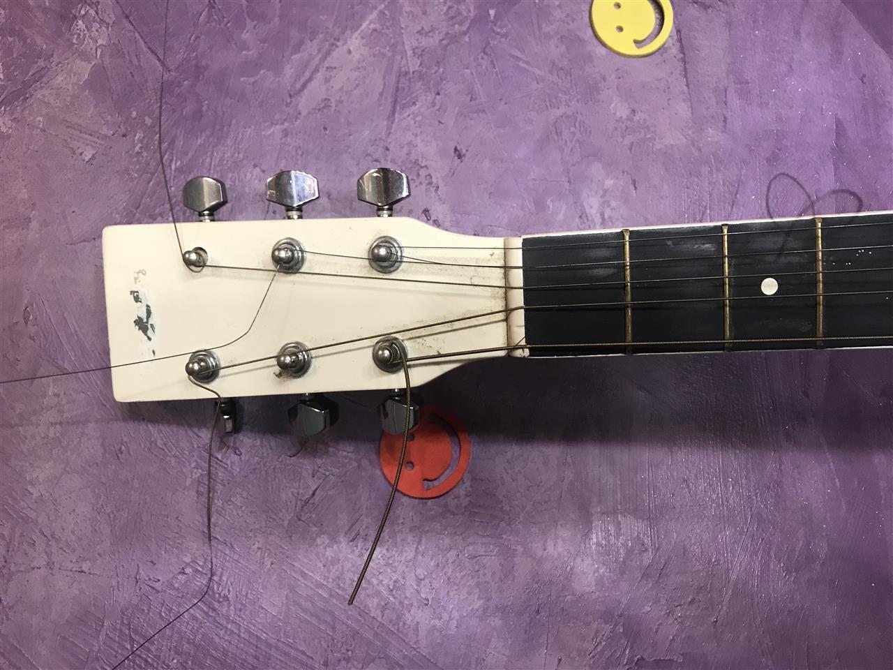 Don-Carlos-gitara