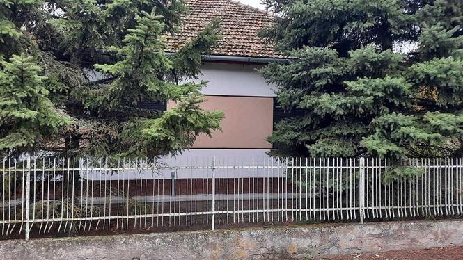 bački vinogradi